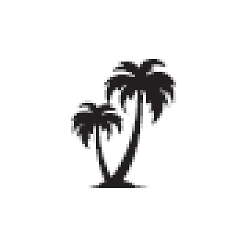 img13_PalmTree img13_PalmTree