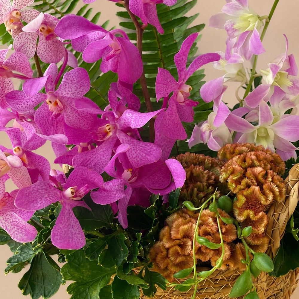 【VULCANIZE ACADEMY】Living with Flowers 9月16日(水)