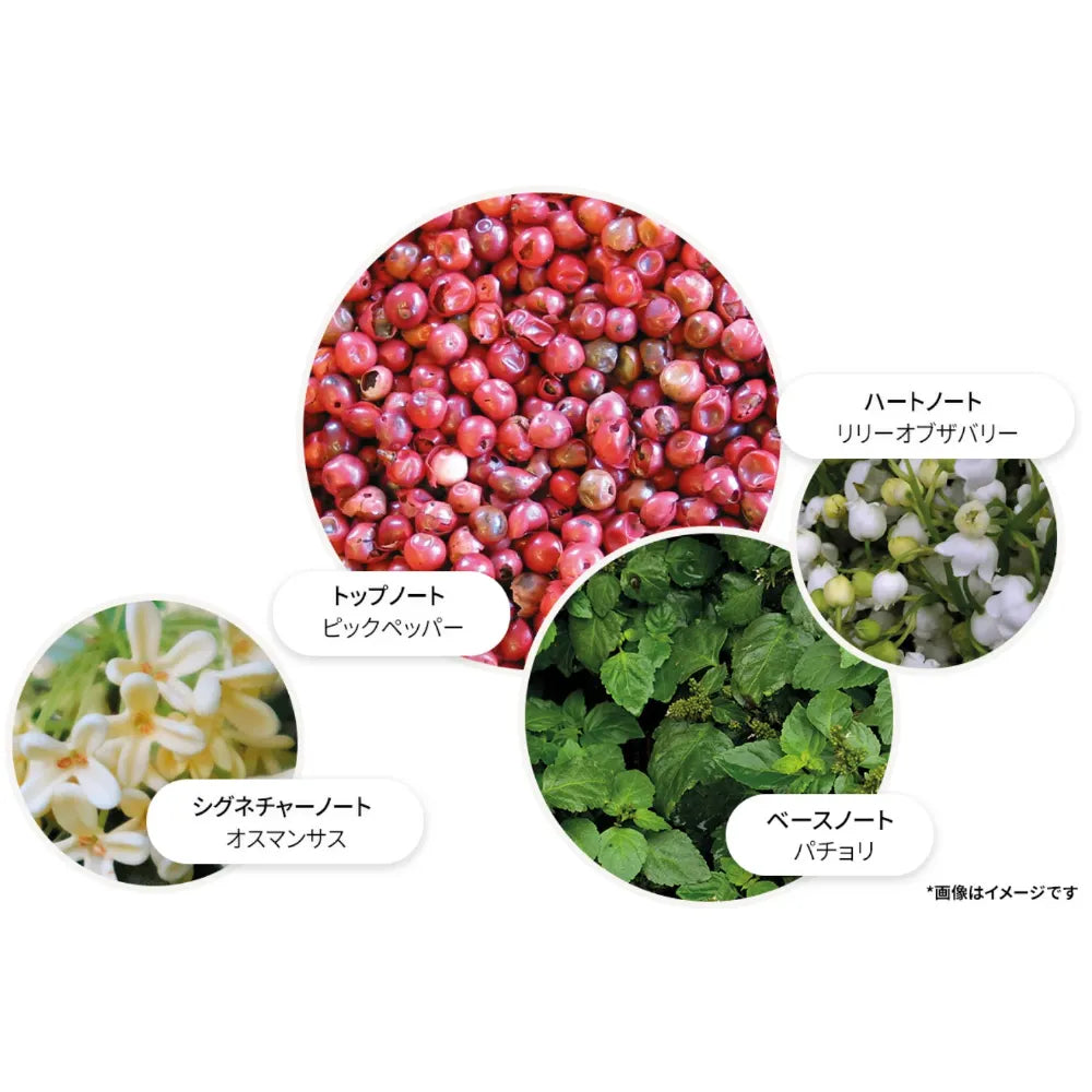 ピンクペッパー オードパルファン 100ml