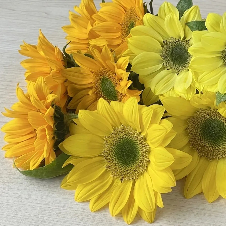 【VULCANIZE ACADEMY】Living with Flowers 6月17日(水)