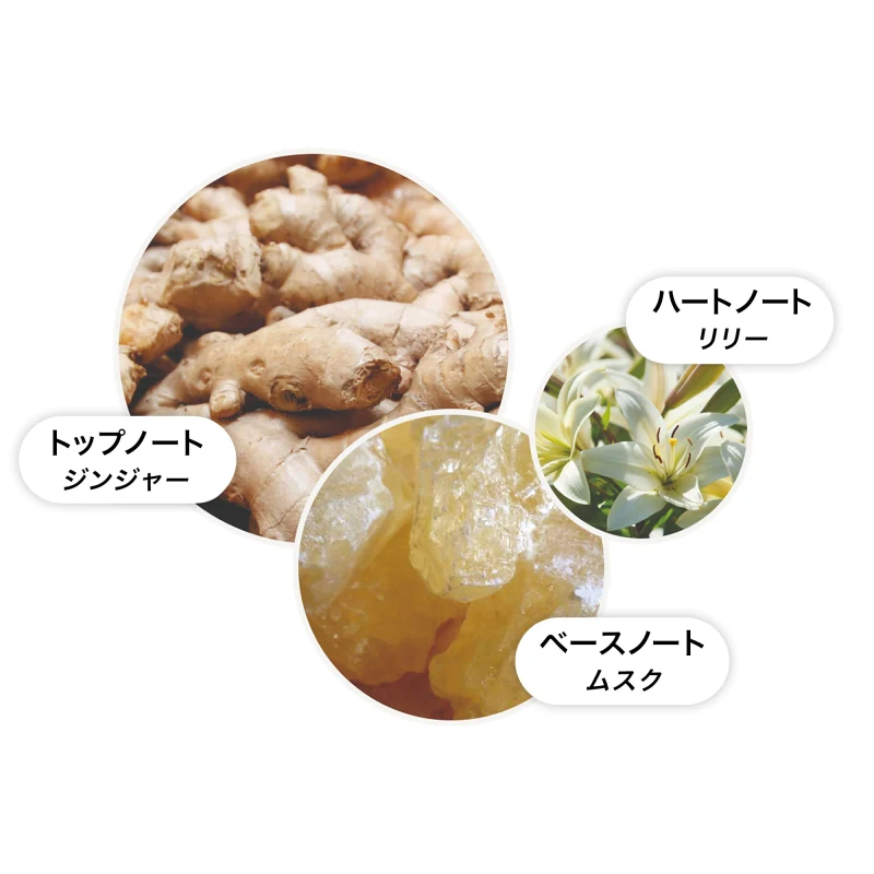ジンジャーリリー ハンドウォッシュ 300 ml