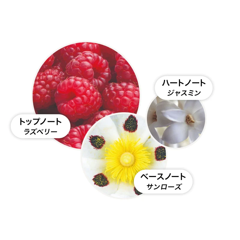 ジャスミン＆サンローズ ボディローション 300ml