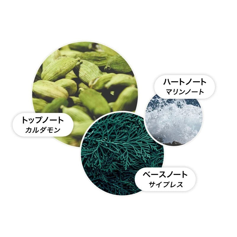 サイプレス＆シーフェンネル ハンドウォッシュ 300ml