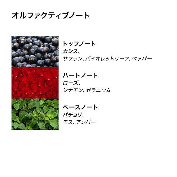 ローズデューン ボディローション 300ml