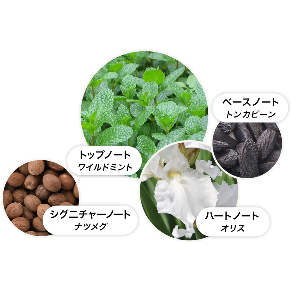 ワイルドミント&ラバンジン オードパルファン 100ml