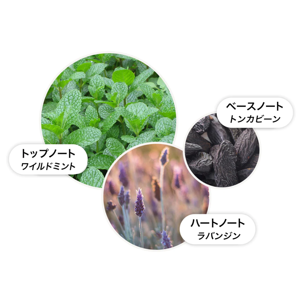 ワイルドミント&ラバンジン バス＆シャワージェル 300ml