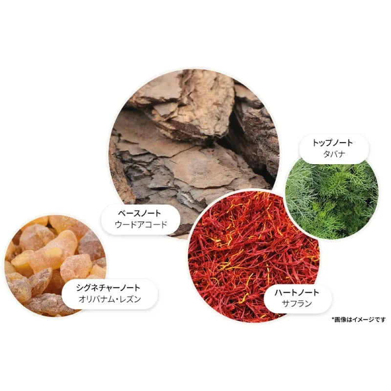 【限定デザイン】ウード・アコード＆ゴールド オードパルファン 100ml