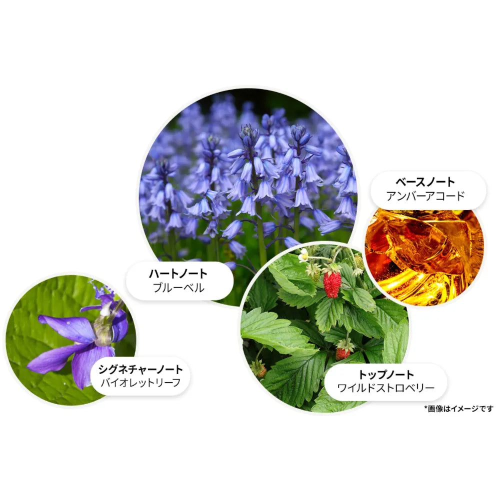 ブルーベル＆ワイルドストロベリー オードパルファン 100ml