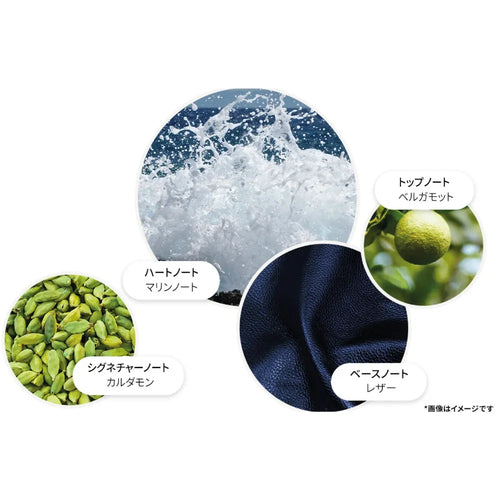 サイプレス＆シーフェンネル オードパルファン 100ml – ヴァルカナイズ