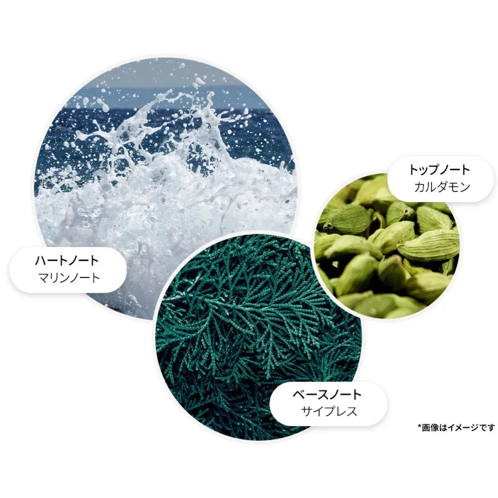 サイプレス＆シーフェンネル ボディローション 300ml