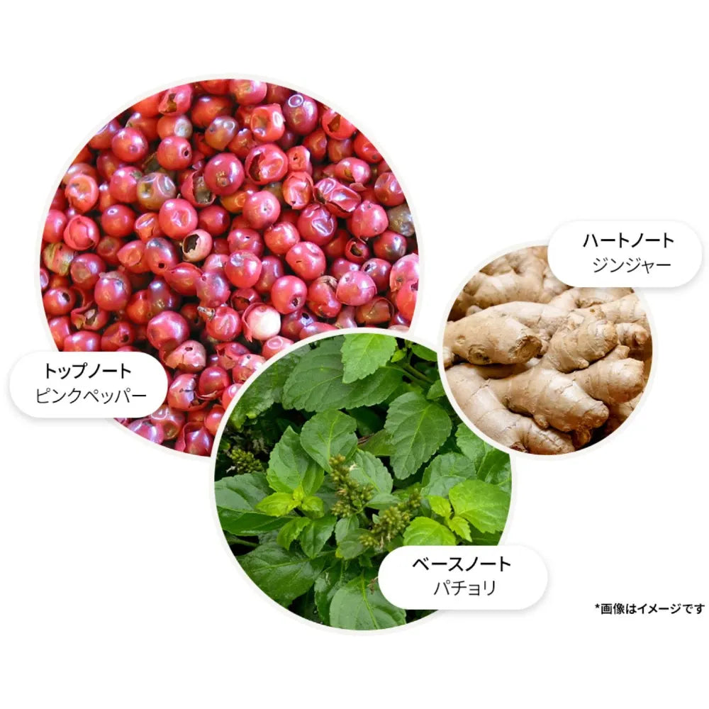 ピンクペッパー ハンドウォッシュ 300ml