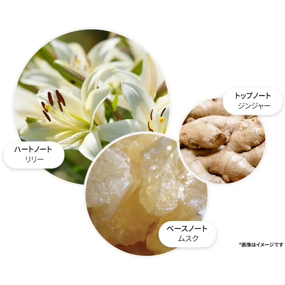 ジンジャーリリー ハンドクリーム  40 ml
