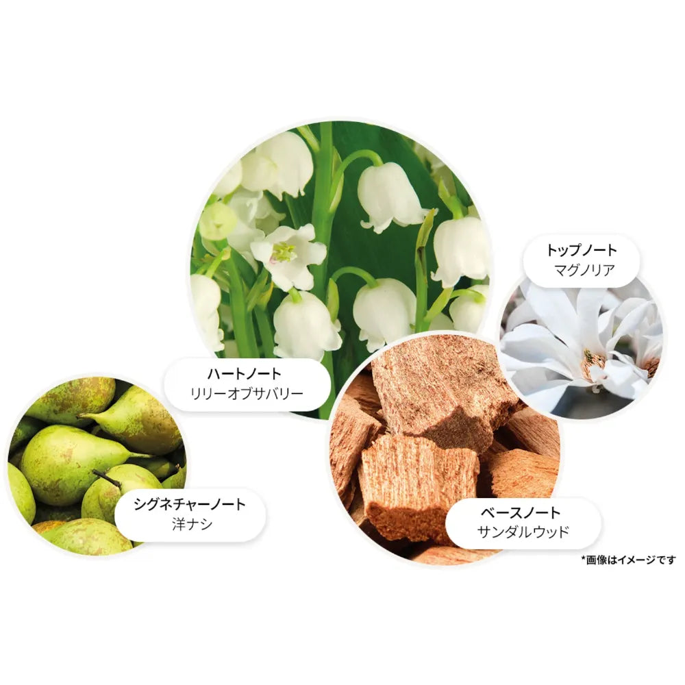 リリー＆マグノリアブロッサム オードパルファン 100ml