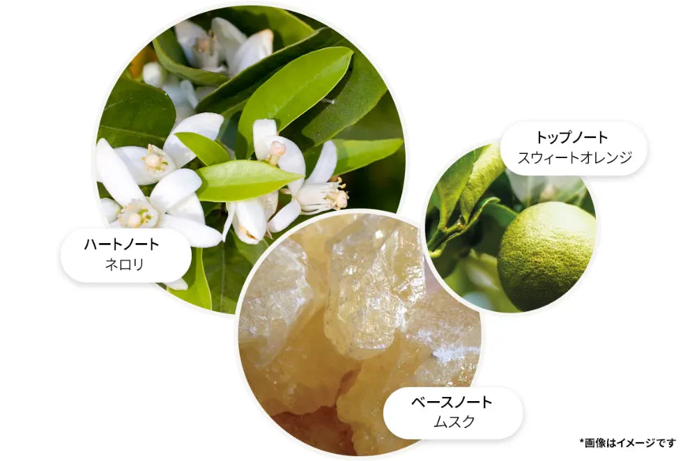 【数量限定】オレンジ&ベルガモット ハンドケア コレクション 300ml×2
