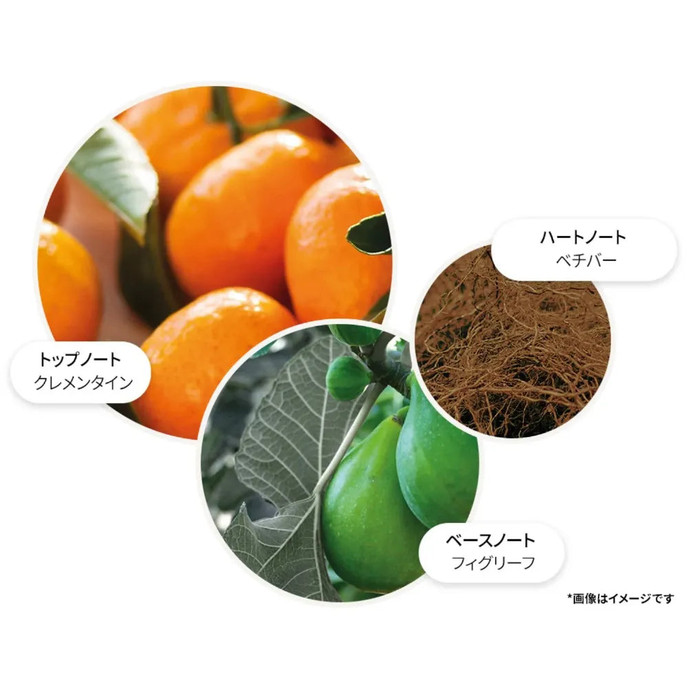サンリット クレメンタイン＆ベチバー オードトワレ 100ml
